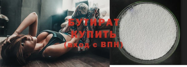 индика Новозыбков