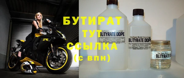 индика Новозыбков