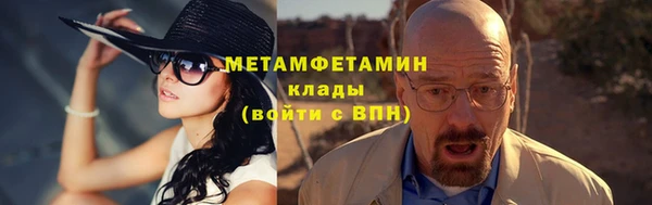 индика Няндома