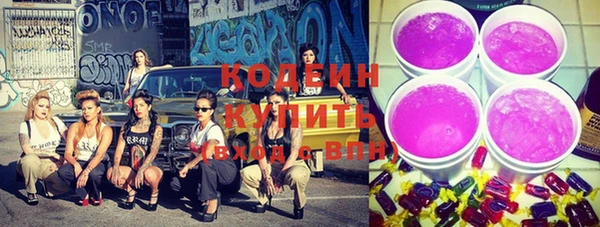 индика Новозыбков
