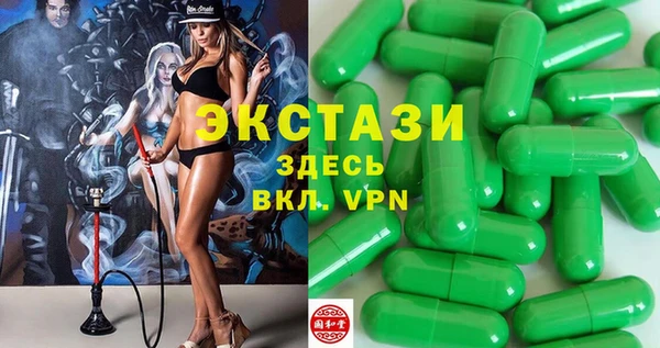 индика Новозыбков
