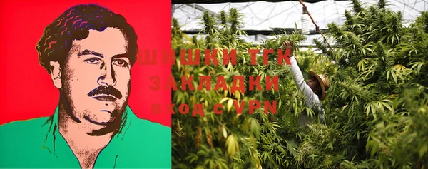 индика Новозыбков