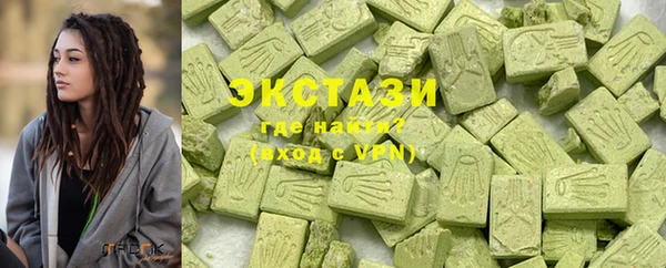 индика Новозыбков