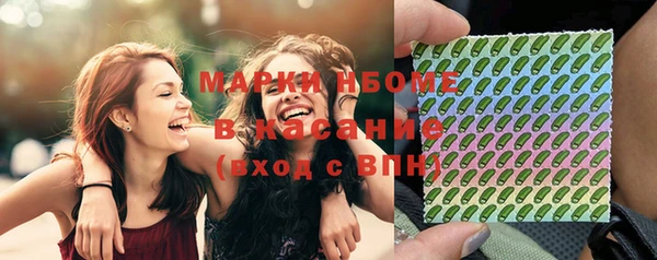 индика Новозыбков