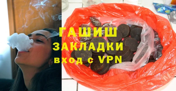 индика Новозыбков