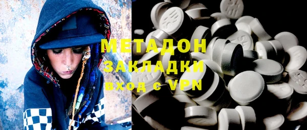 индика Новозыбков
