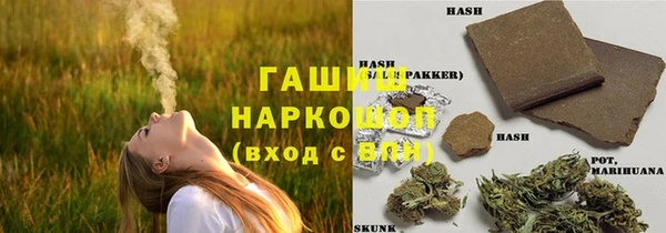 индика Новозыбков