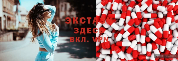 индика Новозыбков