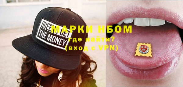 индика Новозыбков