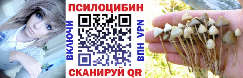 закладка  мориарти какой сайт  Галлюциногенные грибы мицелий  Лангепас  гидра ONION 
